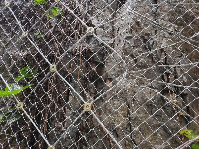 布魯克網(wǎng) 布魯克網(wǎng)