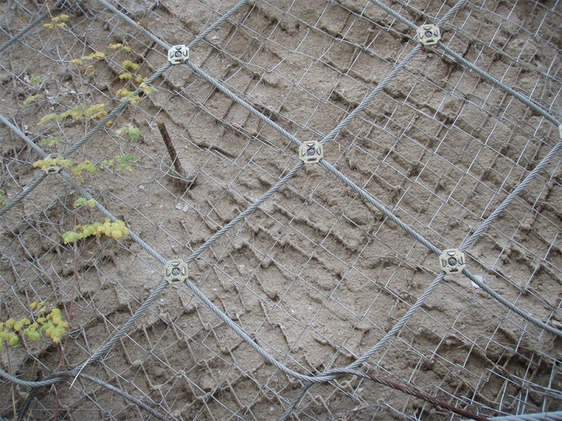 布魯克網(wǎng) 布魯克網(wǎng)