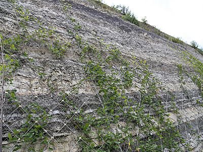 主動防護網(wǎng)