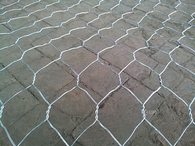 邢臺市水務局“四個聚焦”提升河道水生態(tài)環(huán)境